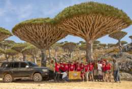 Socotra_2025 (1/76)